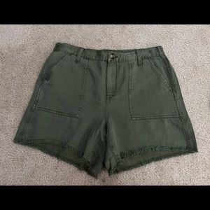 American an Eagle Adventure shorts